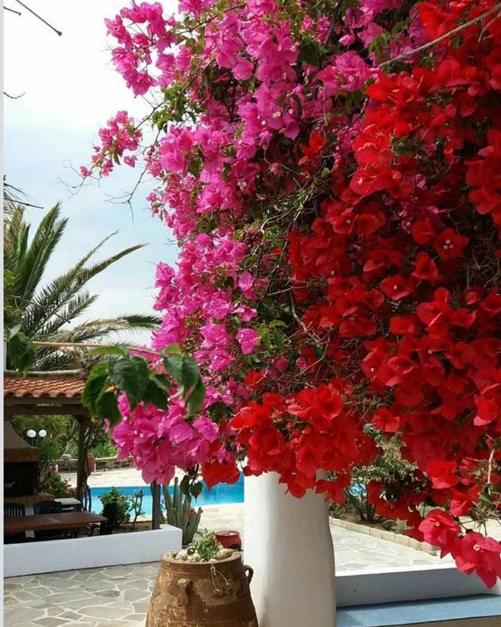 Villa Pari Manda Agios Prokopios  Exteriér fotografie