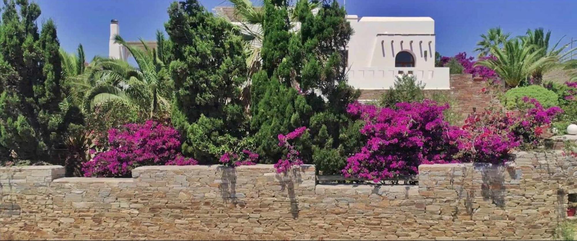 Villa Pari Manda Agios Prokopios  Exteriér fotografie